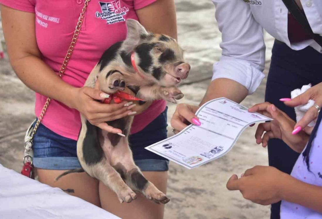 Registran mascotas en Úrsulo Galván por el Día del Niño