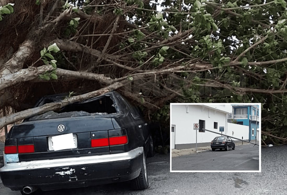 Árboles caídos, techos desprendidos y estructuras derribadas por norte en Veracruz