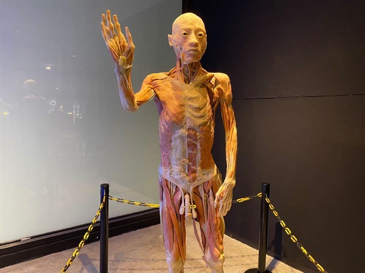 Inauguran Expo Bodies en Plaza Andamar