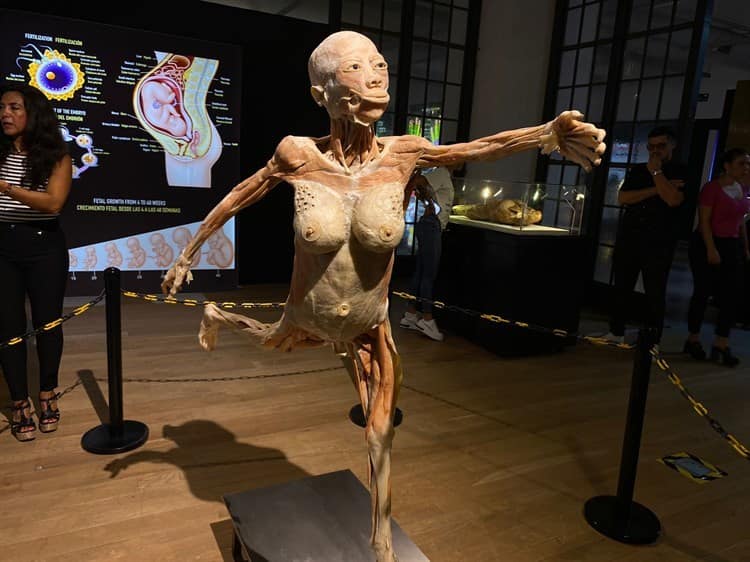 Inauguran Expo Bodies en Plaza Andamar