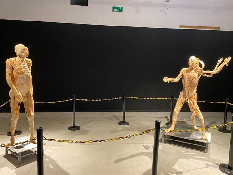 Inauguran Expo Bodies en Plaza Andamar