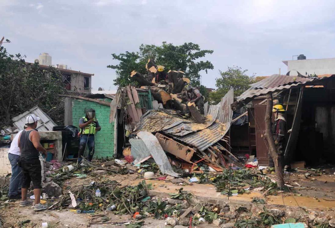 Árbol cae en casa de lámina y madera en Veracruz; norte lo derribó(+Video)