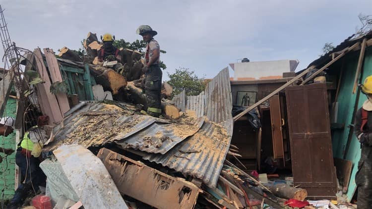 Árbol cae en casa de lámina y madera en Veracruz; norte lo derribó(+Video)