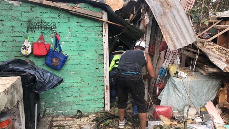 Árbol cae en casa de lámina y madera en Veracruz; norte lo derribó(+Video)