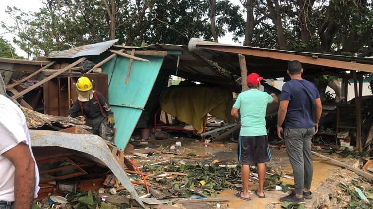 Árbol cae en casa de lámina y madera en Veracruz; norte lo derribó(+Video)