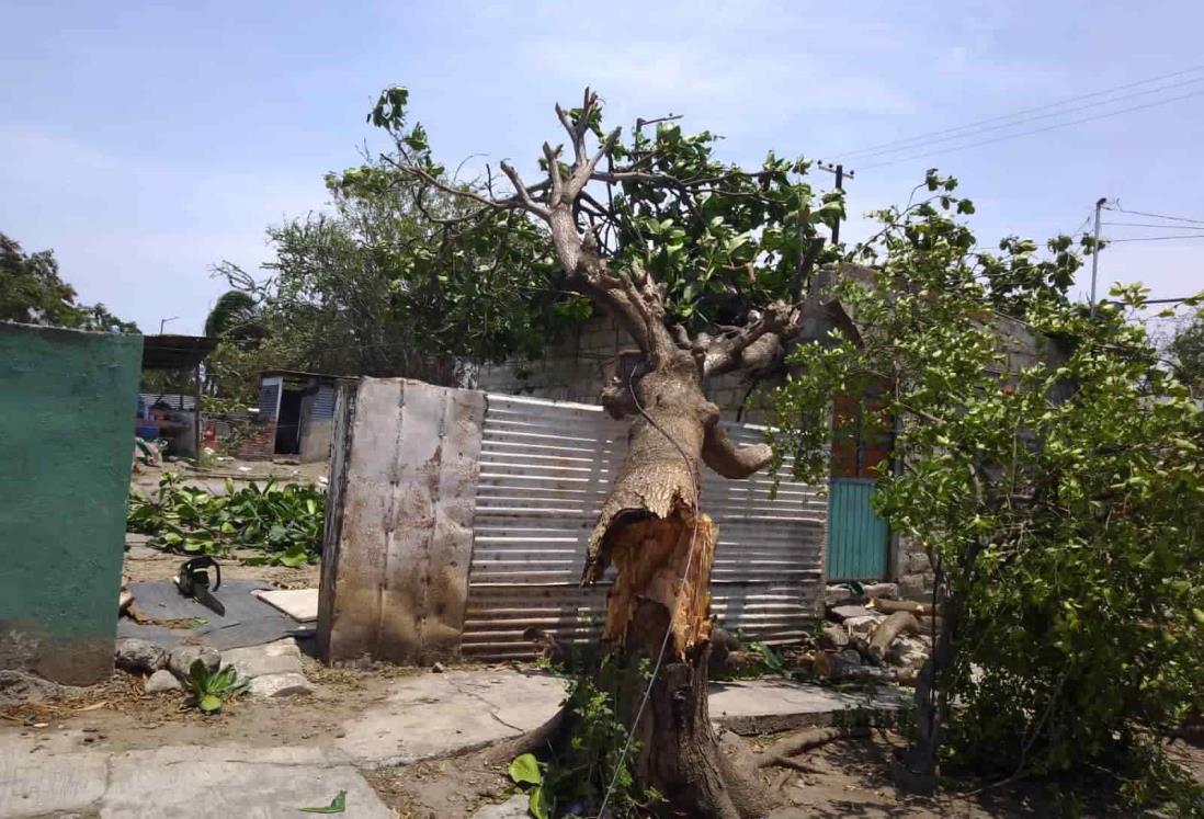 Casas destechadas e incendios fueron atendidos en La Antigua por norte