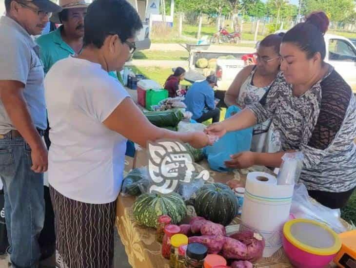 Más de 15 vendedores exponiendo su producto en el mercado campesino