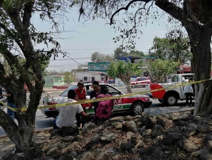 ¡Tragedia en Veracruz! Niña de 2 años pierde la vida tras ser atacada por un perro