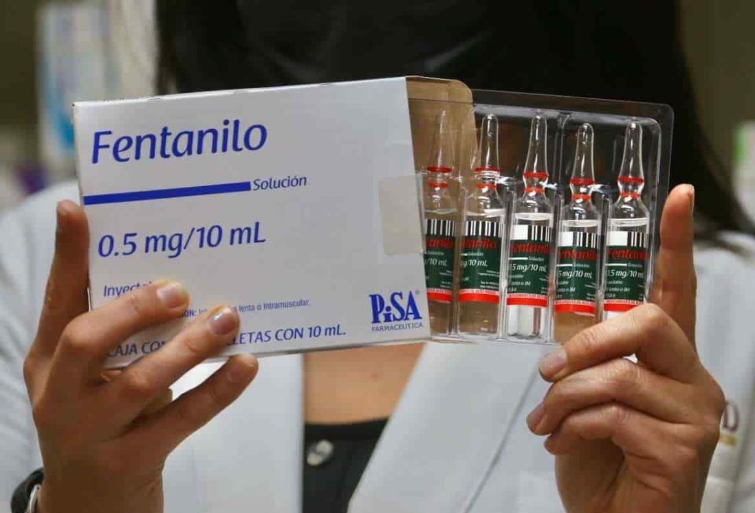 Fuerzas Armadas decomisaron más de 7 mil kilogramos de fentanilo en cuatro años