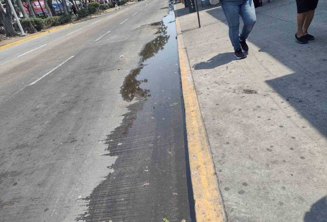 Se quejan por fuga de aguas negras en calle del Centro Histórico de Veracruz