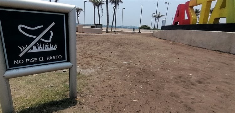 Sequía afecta al parque de los Niños Héroes; urge atención