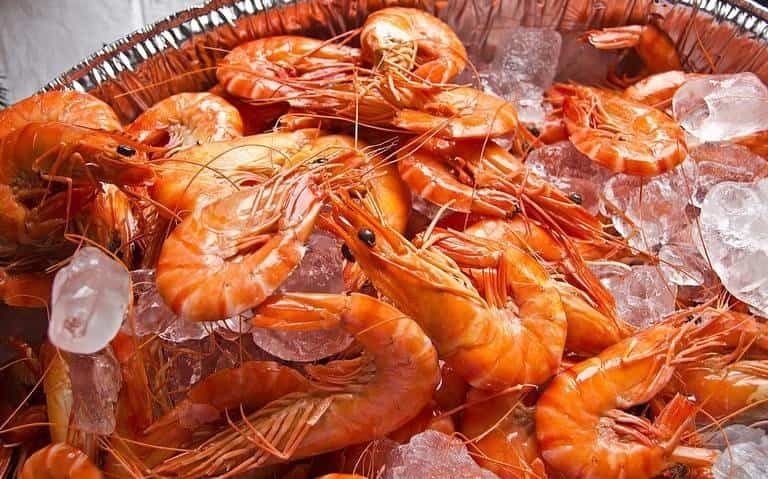 Pescadores de Veracruz temen afectaciones económicas por veda de camarón