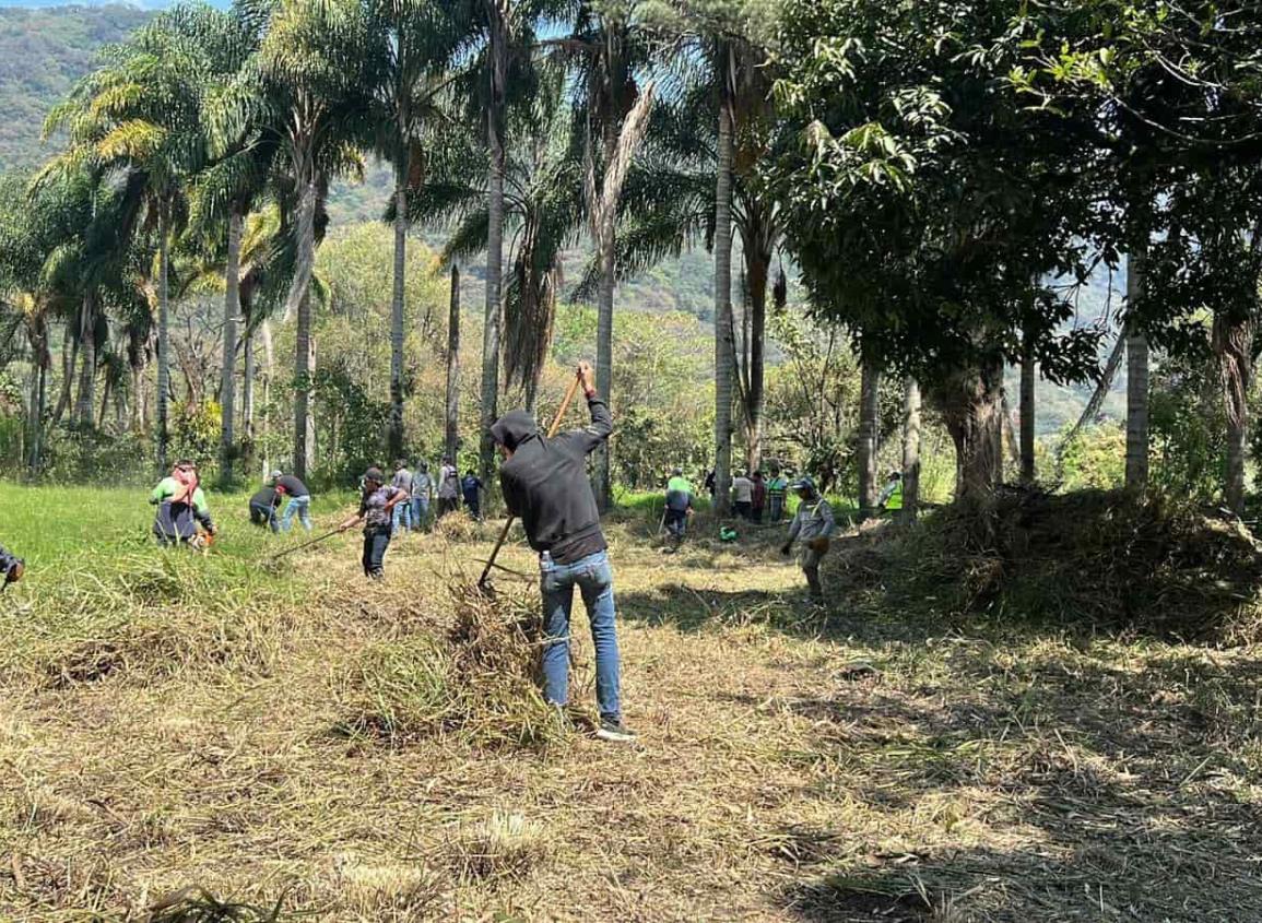 Poco avance en la búsqueda de fosas clandestinas por falta de apoyo