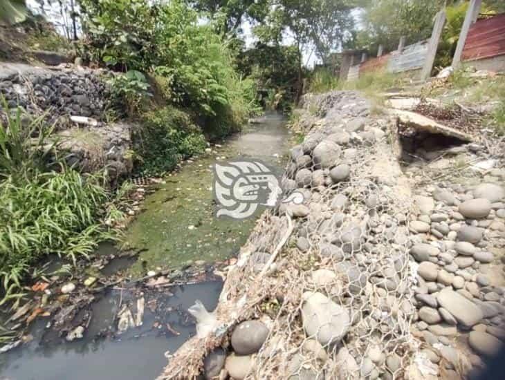 Preocupa condición de muros en arroyo Nexmegata; hacen petición al alcalde Omar Ricárdez Chong (+Video)