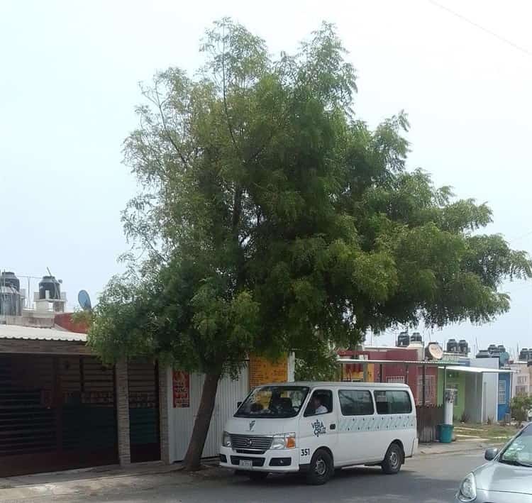 Localizan a mamá de niña que encontraron caminando sola en Lomas 4, Veracruz