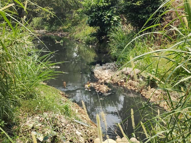 Preocupa condición de muros en arroyo Nexmegata; hacen petición al alcalde Omar Ricárdez Chong (+Video)