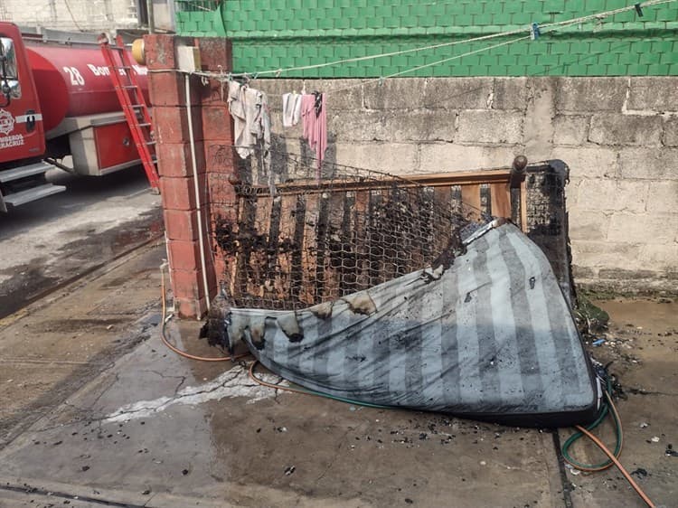 ¡Perritos sufren quemaduras! explosiones en vivienda de Veracruz por acumulación de gas