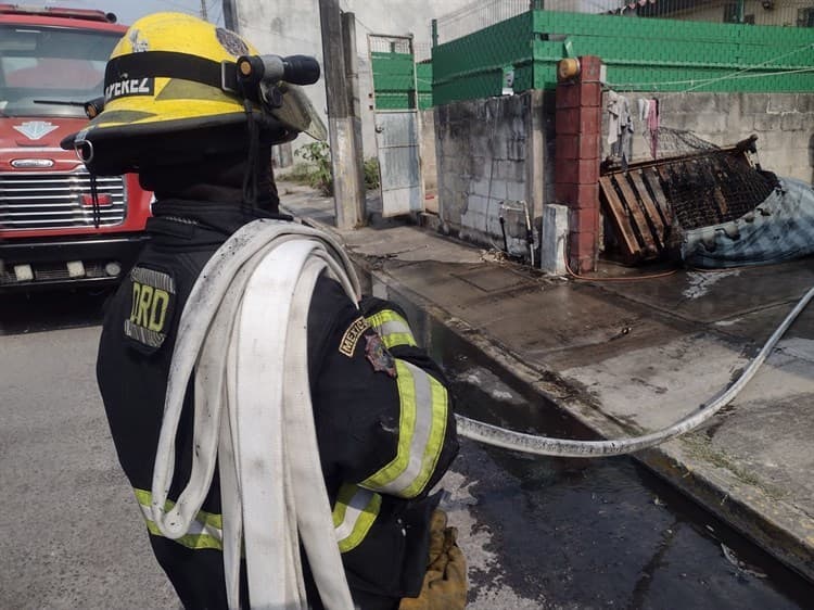 ¡Perritos sufren quemaduras! explosiones en vivienda de Veracruz por acumulación de gas
