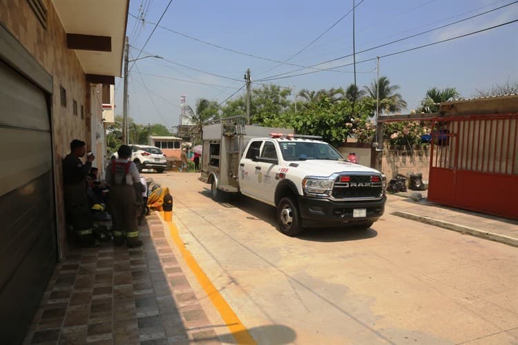 Atacan abejas a 5 personas en la colonia Periodistas (+Vídeo)