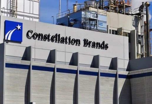 Constellation Brands podría abrirle a Veracruz las puertas a nuevos mercados