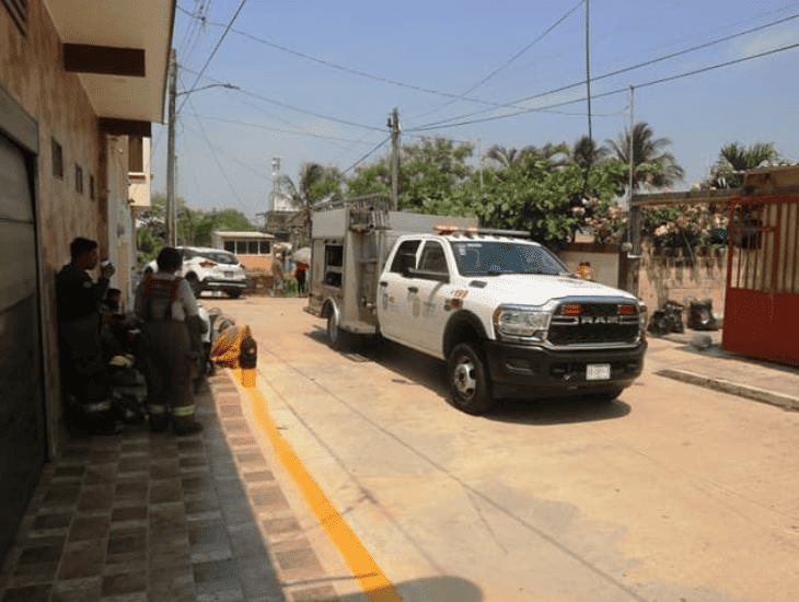 Atacan abejas a 5 personas en la colonia Periodistas (+Vídeo)