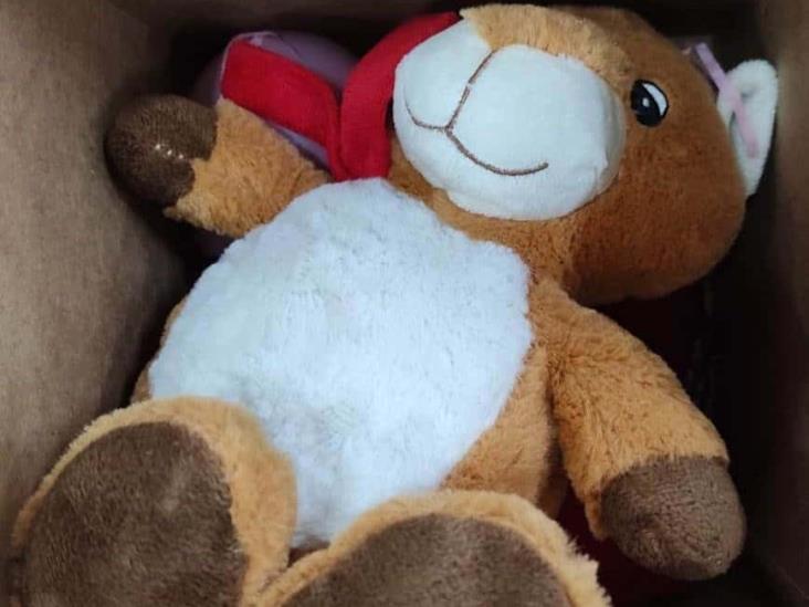 ¡Teddy malandrón!, Guardia Nacional incauta osito de peluche con droga