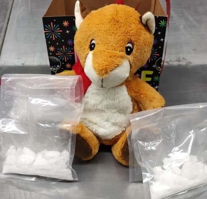 ¡Teddy malandrón!, Guardia Nacional incauta osito de peluche con droga