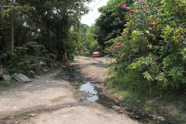 Centro y zona turísticas mejor atendidas que colonias populares de Veracruz