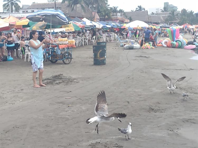 Bañistas disfrutan de la playa en Villa del Mar, Veracruz