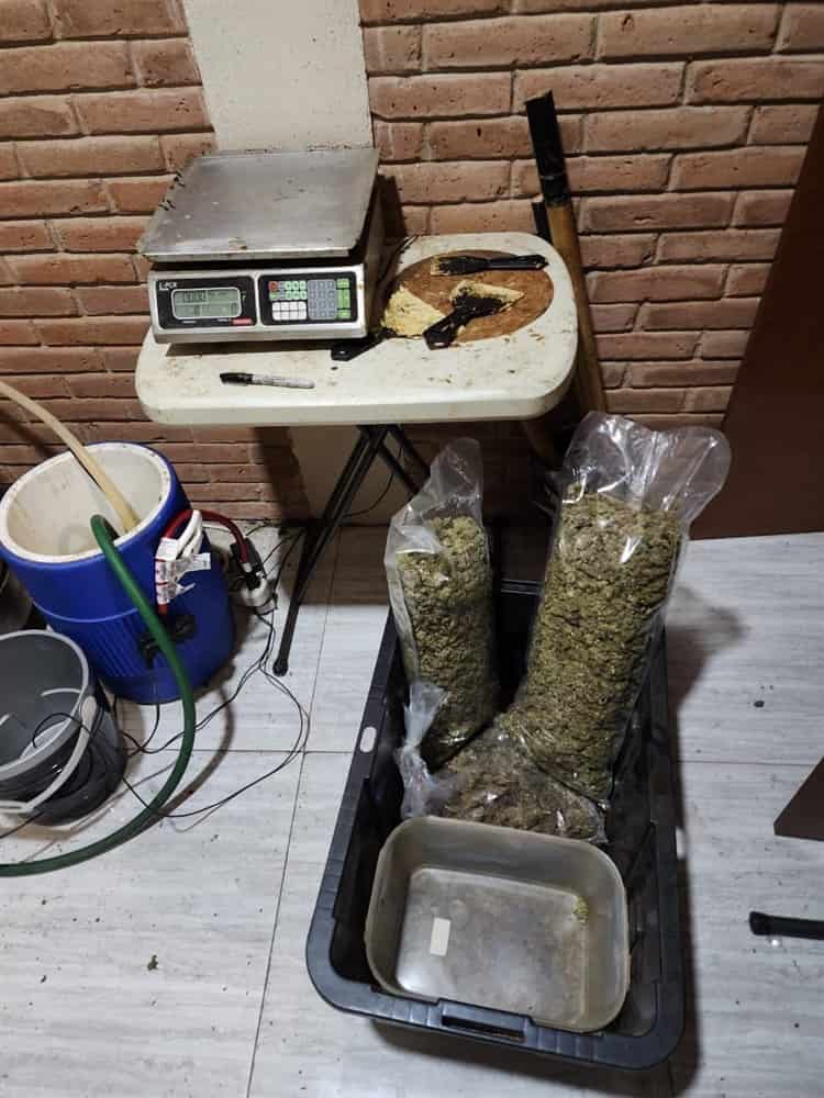 Desmantelan laboratorio de marihuana en el Estado de México