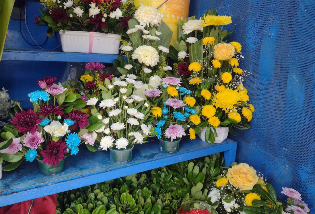 Flores incrementarán de precio por Día de las Madres en Veracruz