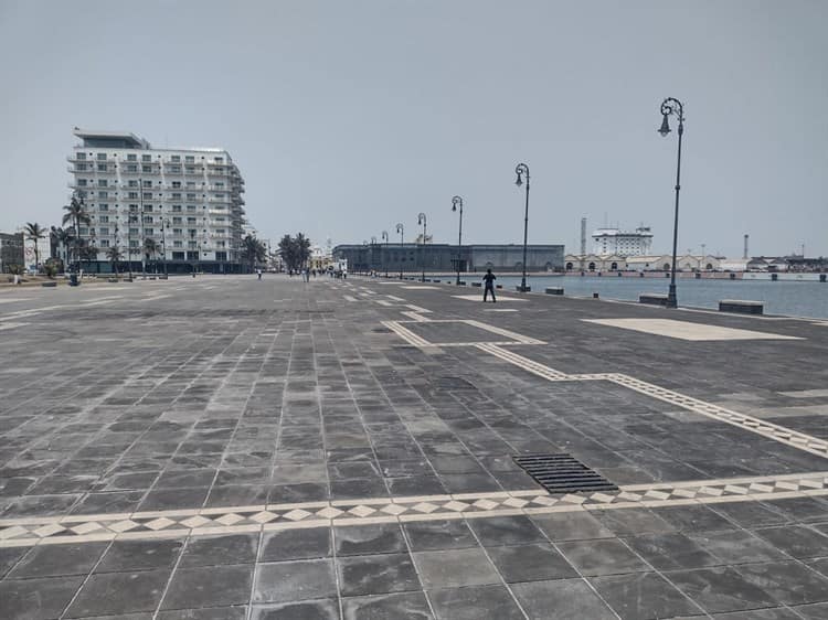 Veracruzanos reclaman falta de árboles en la Macroplaza del Malecón