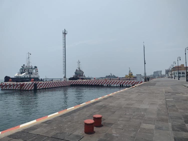 Veracruzanos reclaman falta de árboles en la Macroplaza del Malecón