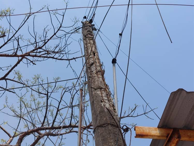 Poste de concreto carcomido alerta a vecinos de avenida Donato Casas