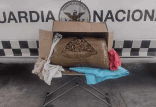 Binomio canino detecta paquetes de marihuana en paquetería de Jalisco