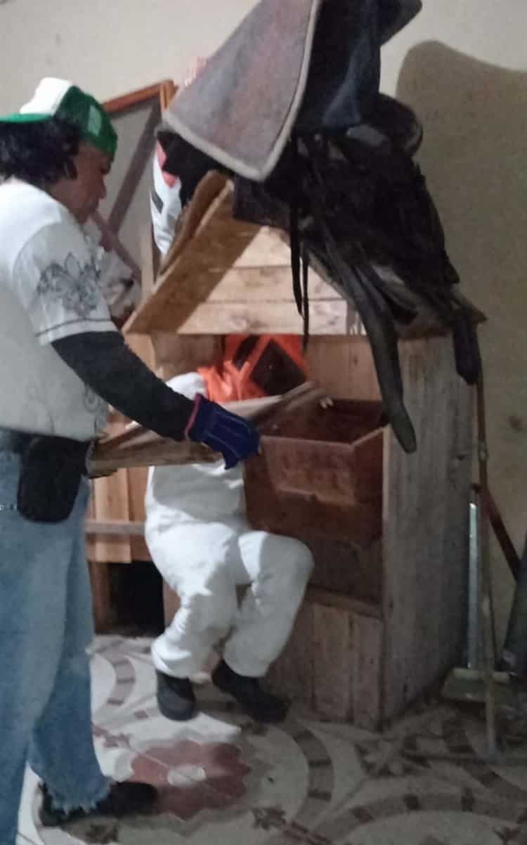 Controlan enjambre de abejas en vivienda de Vega de Alatorre