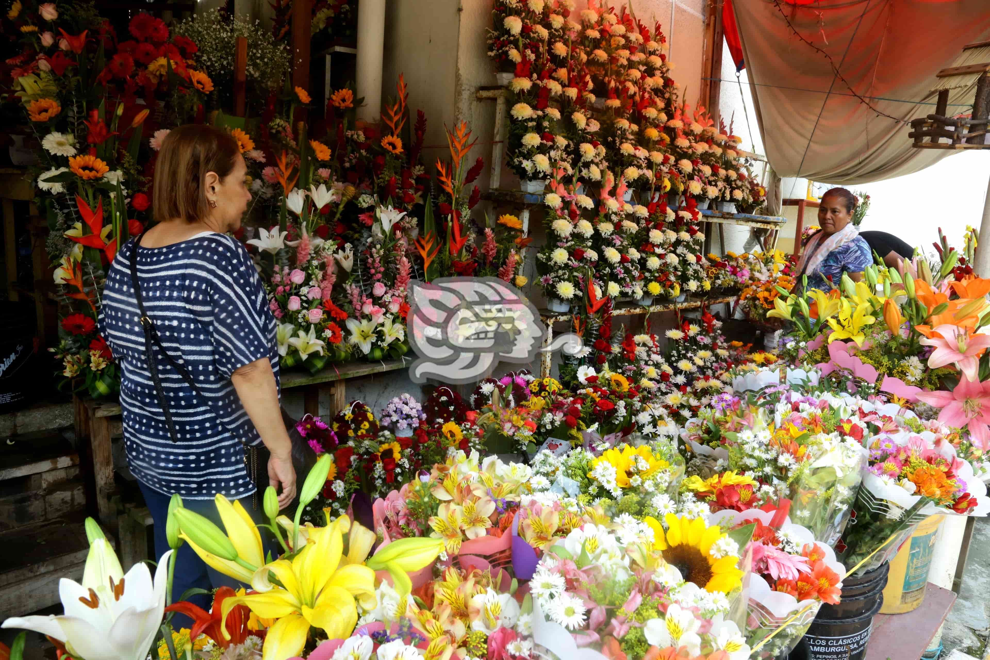 Esperan repunte en venta de flores este 10 de mayo (+video)