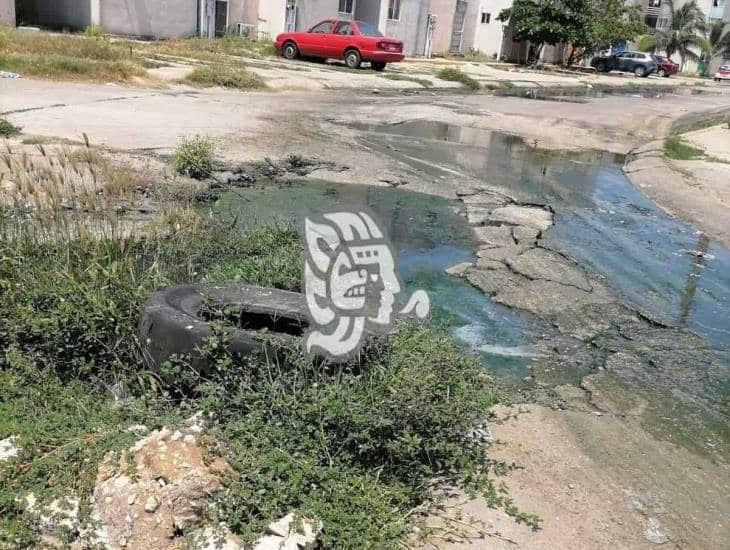 Calles invadidas por aguas negras en Santa Martha; esperan intervención de autoridades