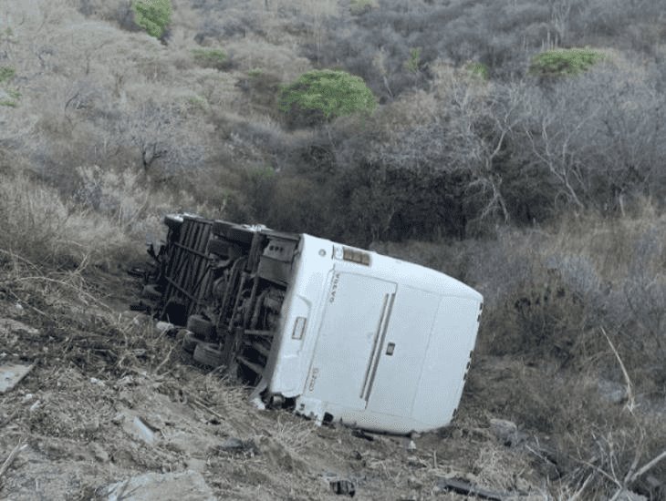 Cae a barranco autobús que transportaba equipo infantil de futbol