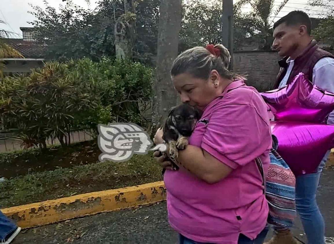 Exigen cárcel para asesino de sol, perrita cruelmente atropellada en Xalapa