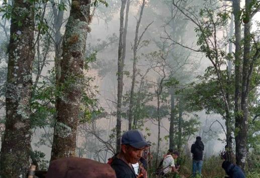 Combaten brigadistas dos incendios en la región serrana de Veracruz