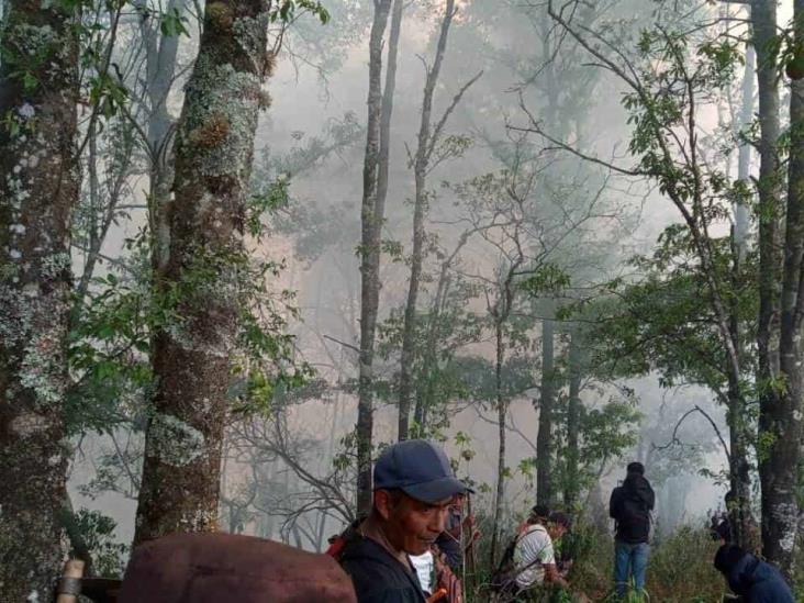 Brigadistas combaten dos incendios en la región serrana de Veracruz