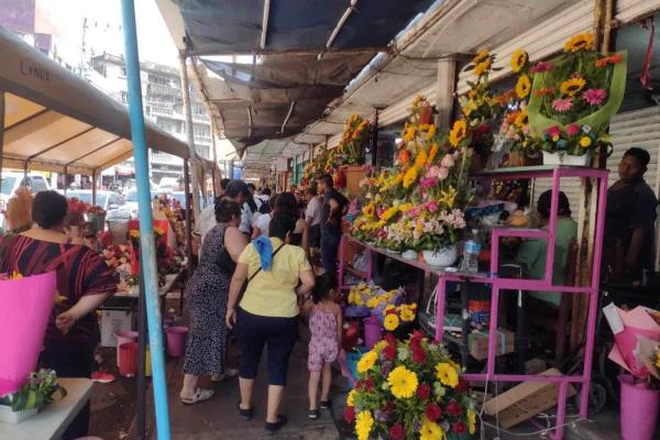 Día de las Madres deja derrama de más de 80 mdp en comercios de Veracruz