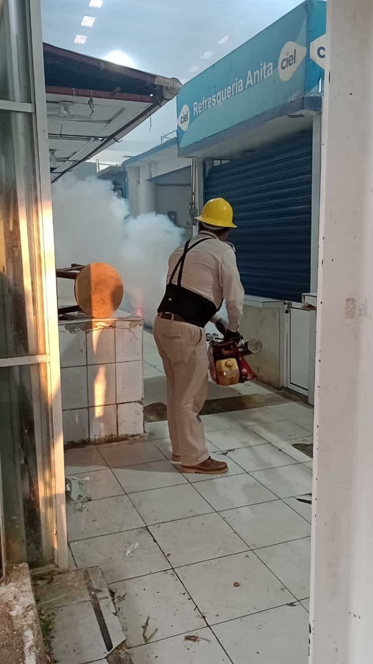 Libre de plagas; fumigan instalaciones del mercado Morelos (+Video)