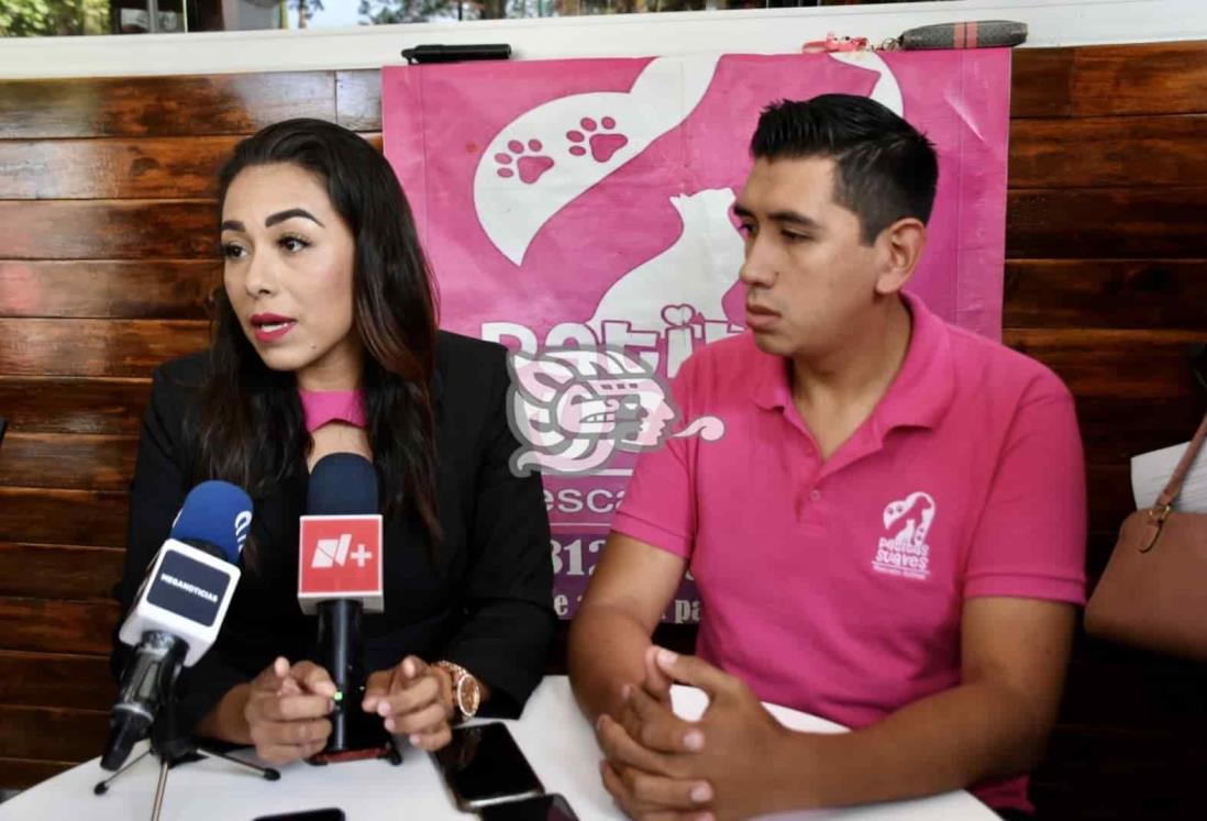 Caso de perrita Sol entorpecido por falta de seriedad de FGE: activista