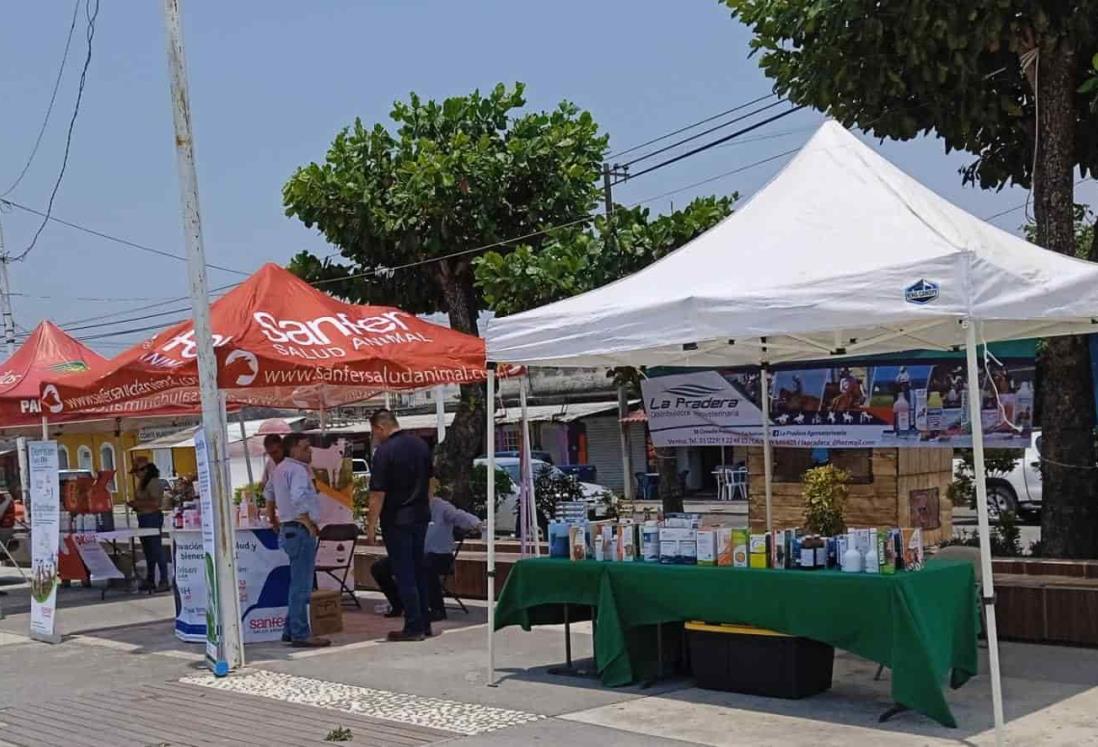 Inauguran Tianguis Agropecuario en Manlio Fabio Altamirano