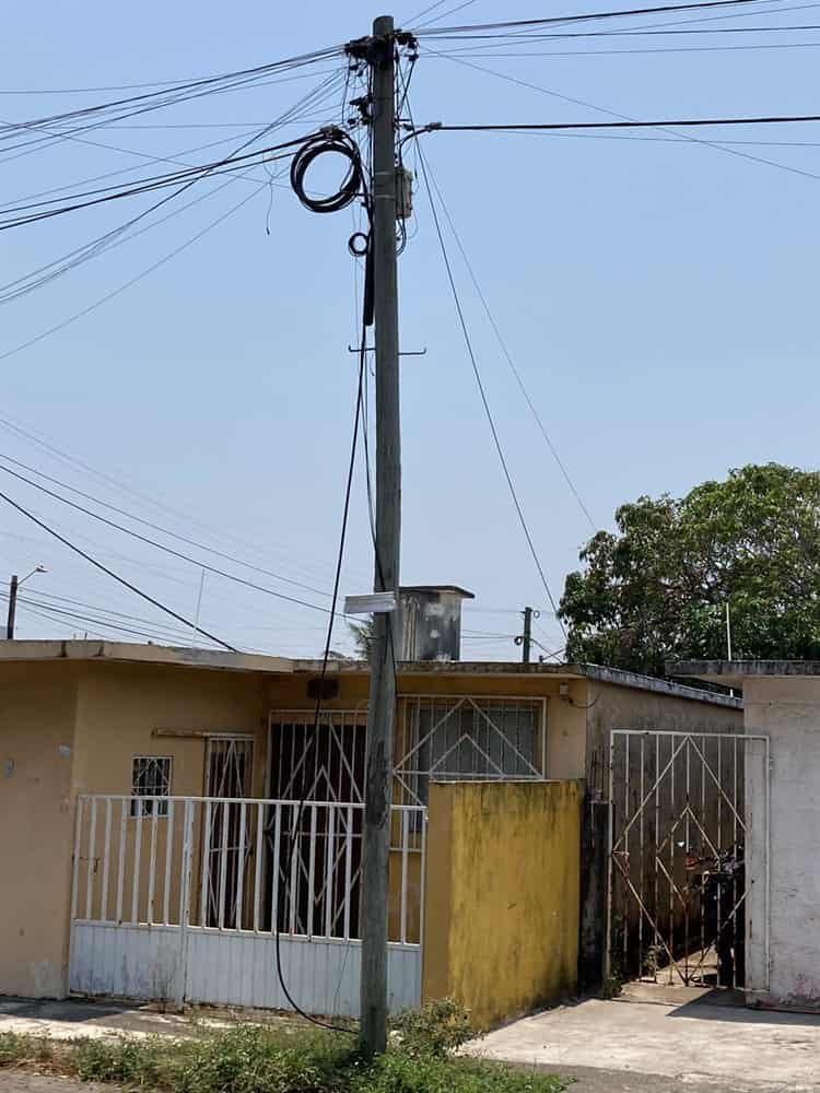 ¡Entre telarañas! Peligro por cables en postes dañados en el Coyol