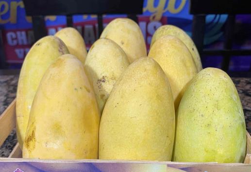 Abrirán despulpadora de mango en el municipio de Actopan