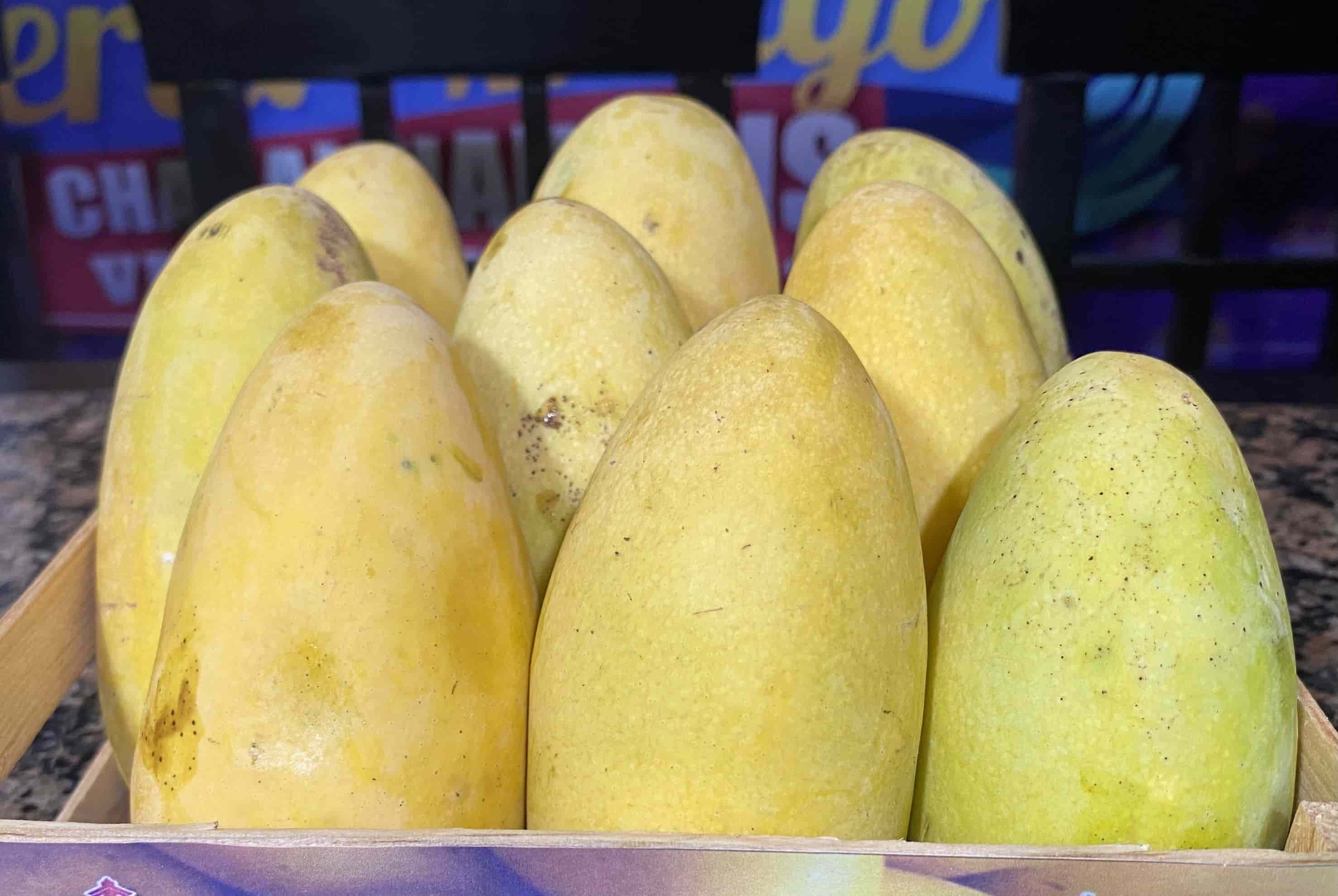 Abrirán despulpadora de mango en el municipio de Actopan