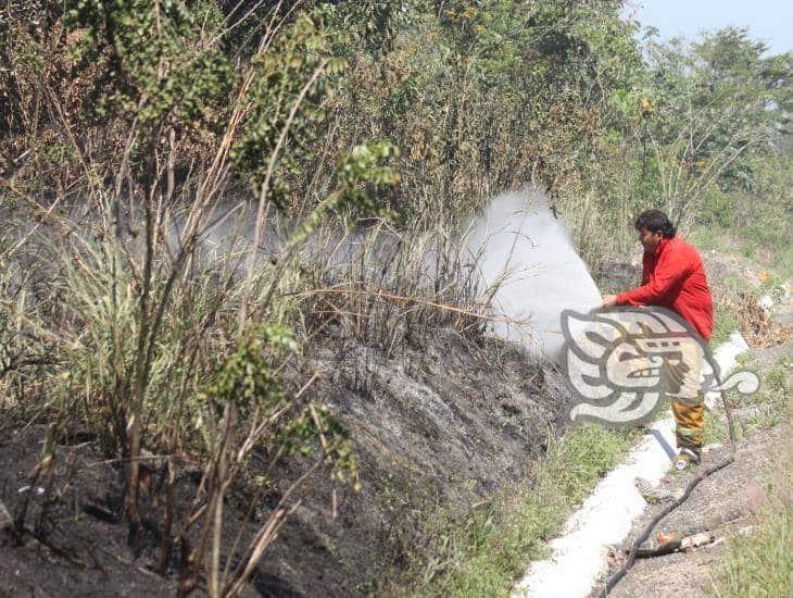 Aumentan incendios de pastizales en el sur de Veracruz